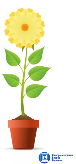 работа на заказ